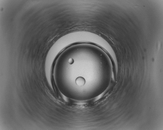 X0000086060572200703301044