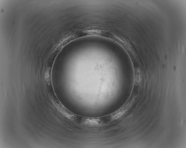 X0000086060573200703301044