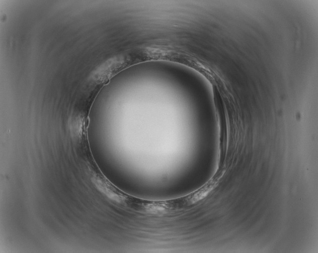 X0000086060574200703301044