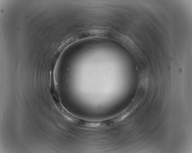 X0000086060575200703301044