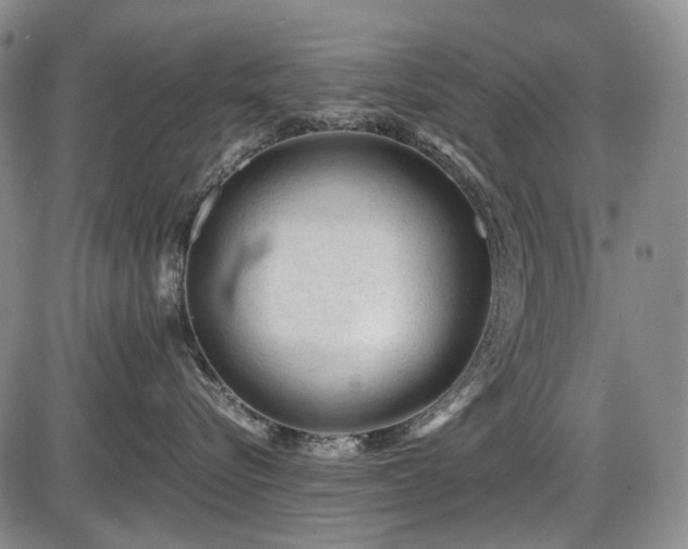 X0000086060576200703301044