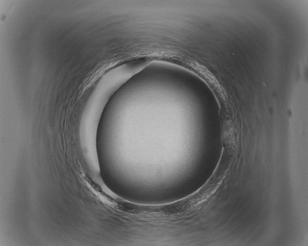 X0000086060577200703301043