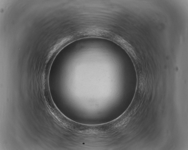 X0000086060578200703301043