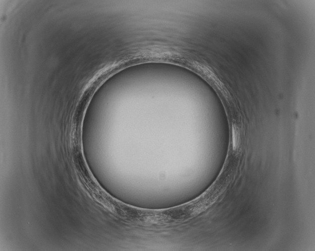 X0000086060579200703301043