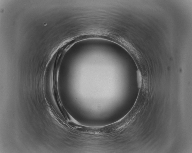 X0000086060580200703301043