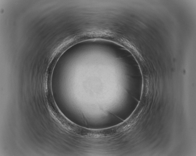 X0000086060582200703301043