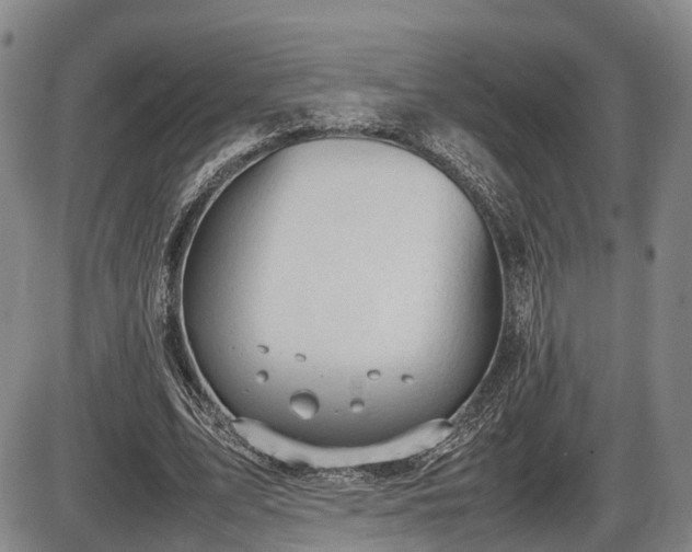 X0000086060583200703301043