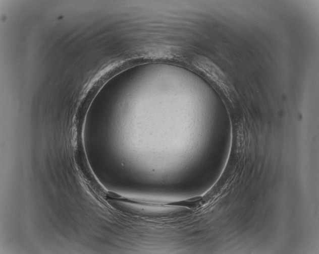 X0000086060584200703301043