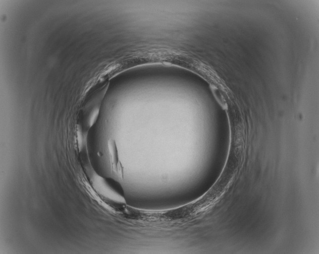 X0000086060585200703301043