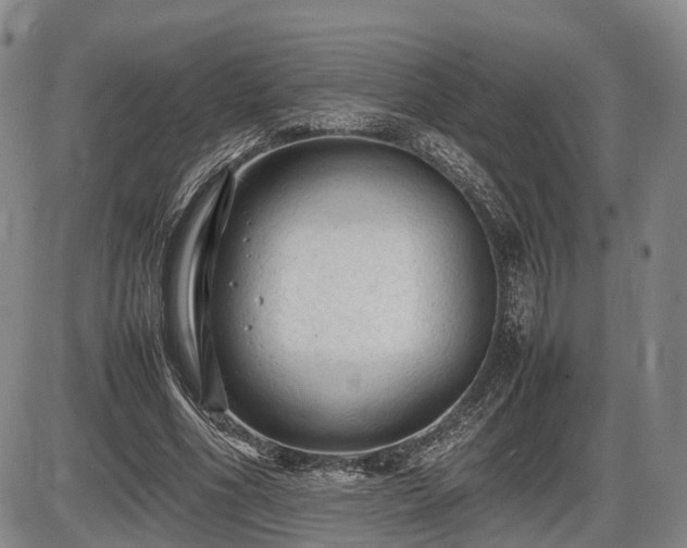 X0000086060586200703301043