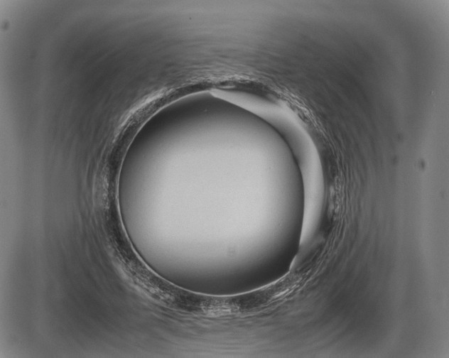 X0000086060587200703301043