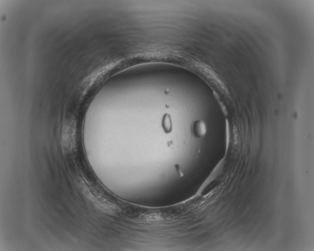 X0000086060588200703301043