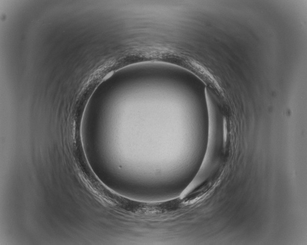 X0000086060589200703301043