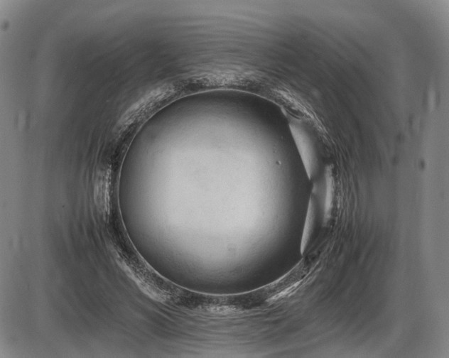 X0000086060590200703301043