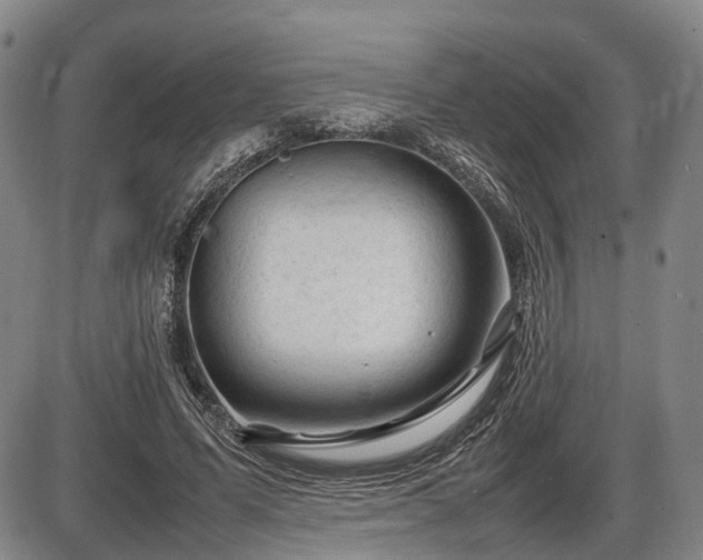 X0000086060591200703301043