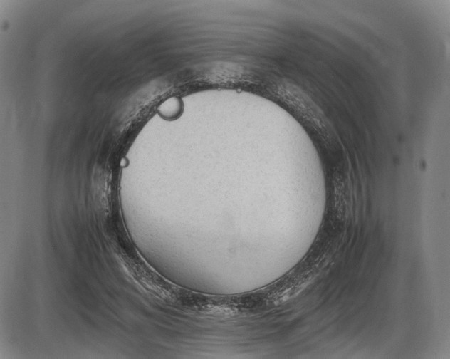 X0000086060592200703301043