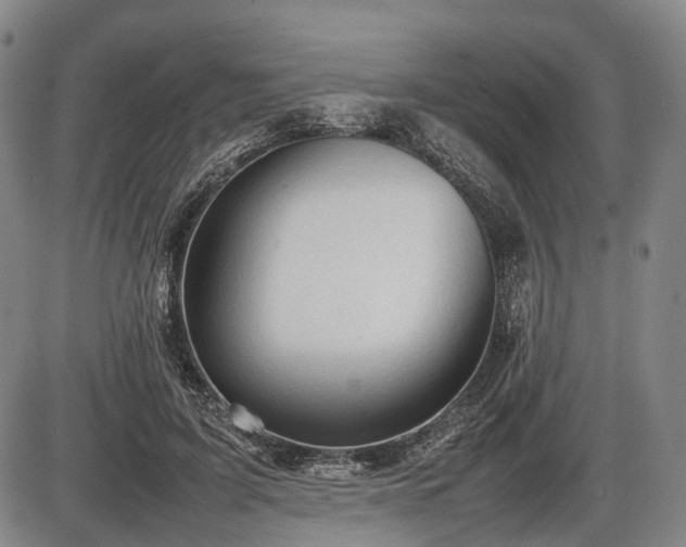 X0000086060595200703301043