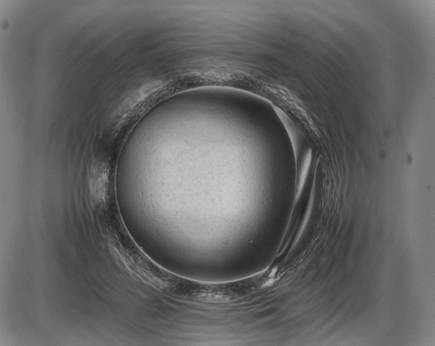 X0000086060596200703301043