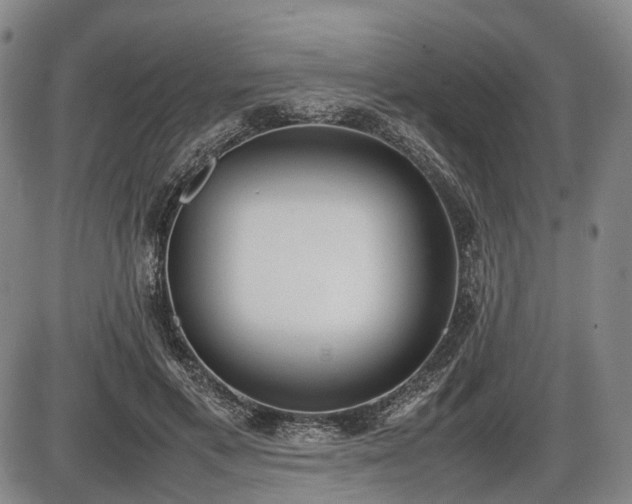 X0000086060597200703301043