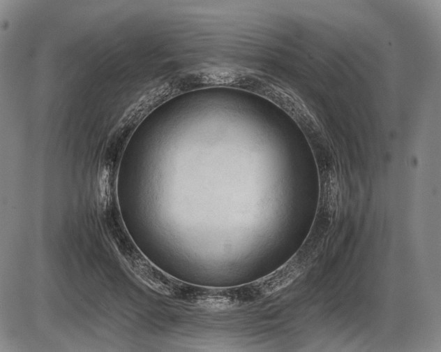 X0000086060598200703301043