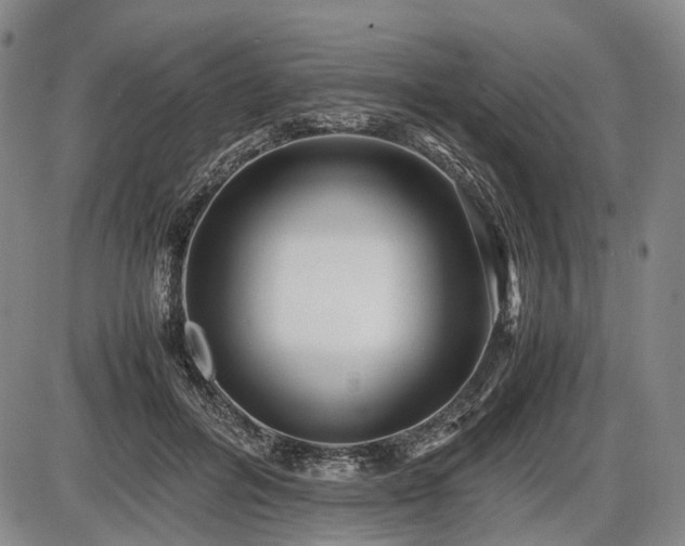 X0000086060600200703301043