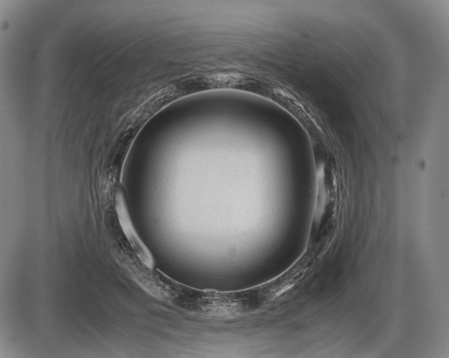 X0000086060601200703301043