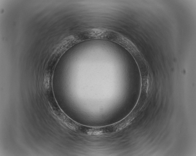 X0000086060602200703301043