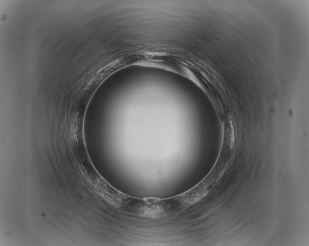 X0000086060604200703301043