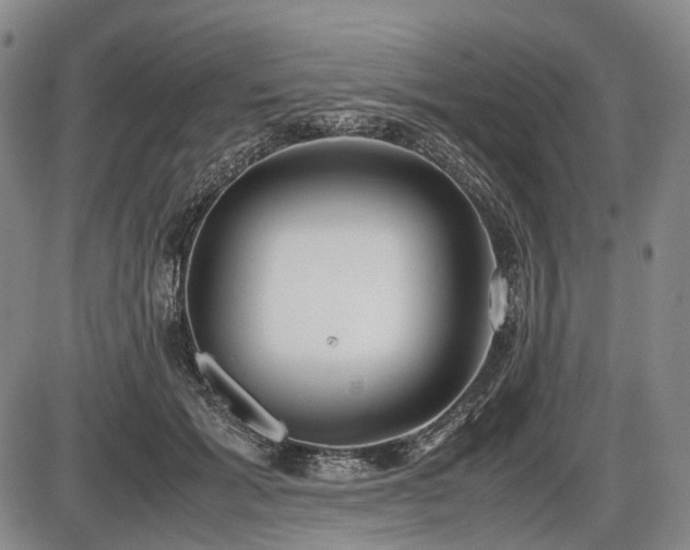 X0000086060605200703301043