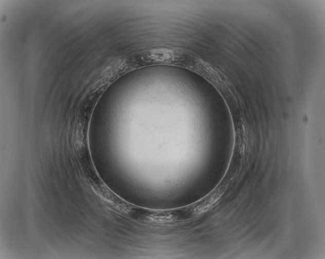 X0000086060606200703301043