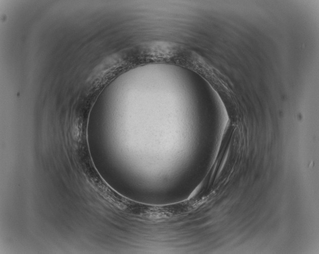 X0000086060608200703301042