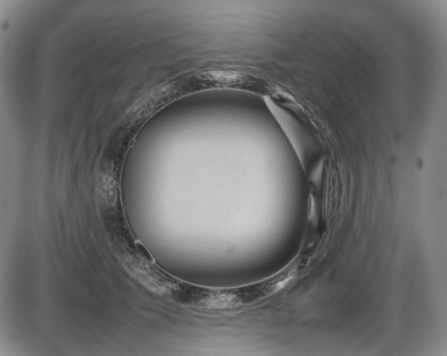 X0000086060609200703301042