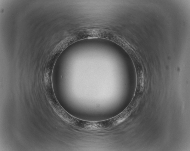 X0000086060611200703301042