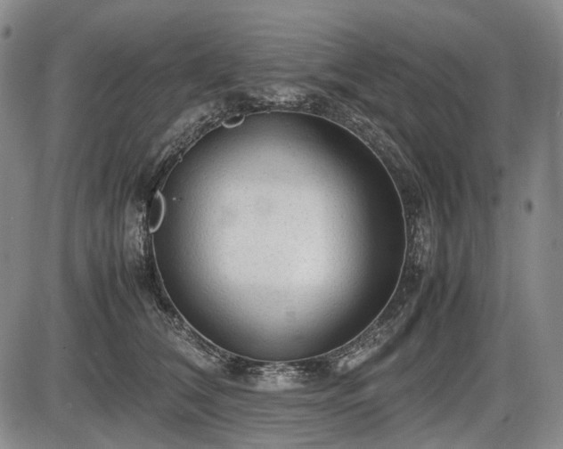 X0000086060612200703301042