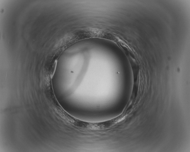 X0000086060613200703301042