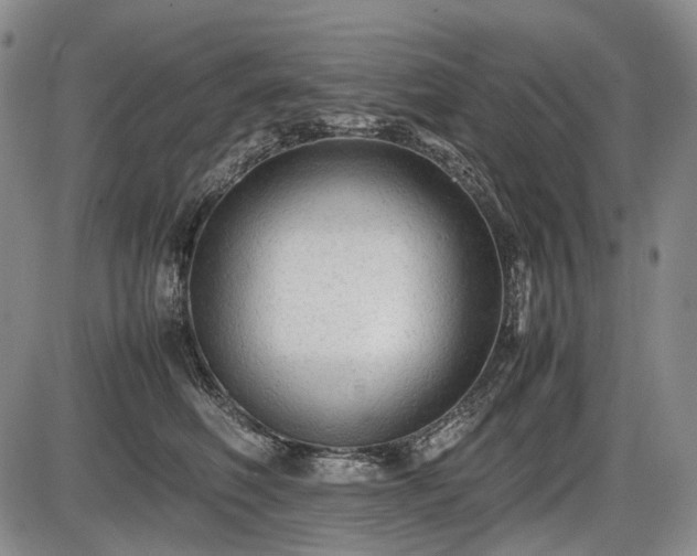 X0000086060614200703301042