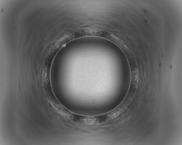 X0000086060615200703301042