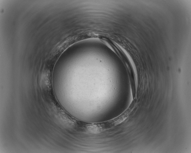 X0000086060616200703301042