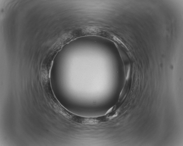 X0000086060617200703301042