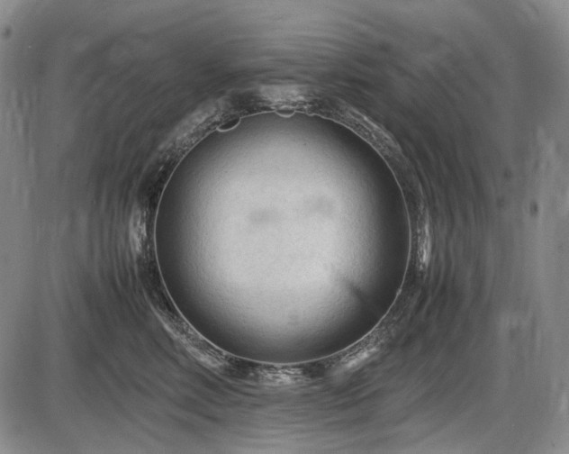 X0000086060618200703301042