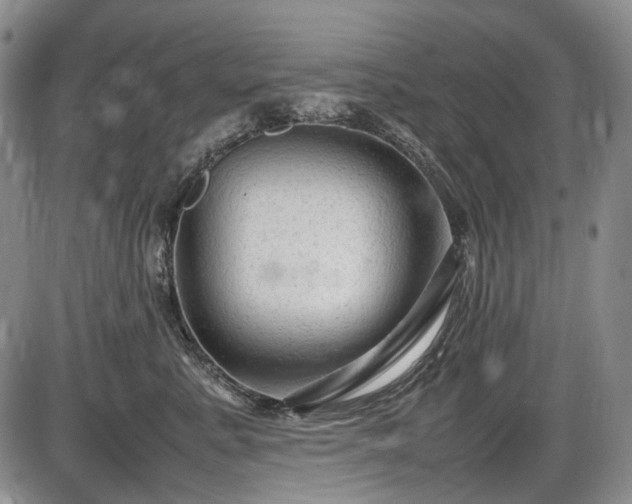 X0000086060619200703301042