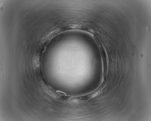 X0000086060620200703301042