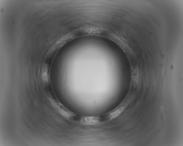 X0000086060622200703301042