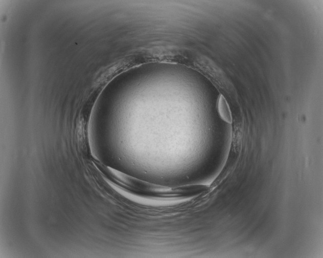 X0000086060623200703301042