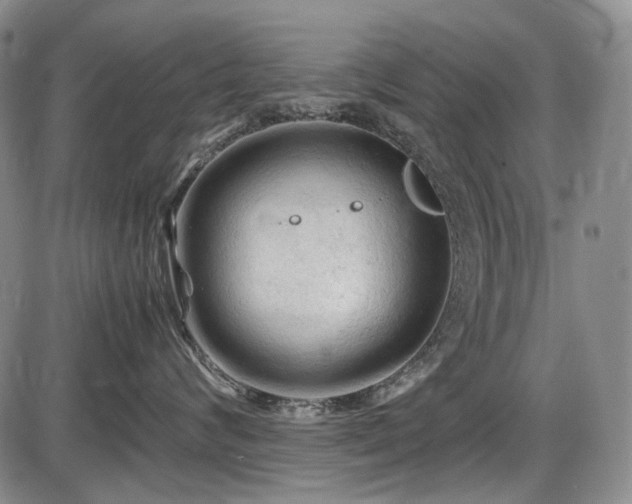 X0000086060624200703301042