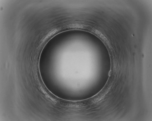 X0000086060625200703301041