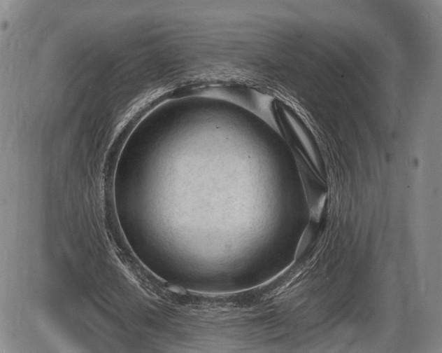 X0000086060626200703301041