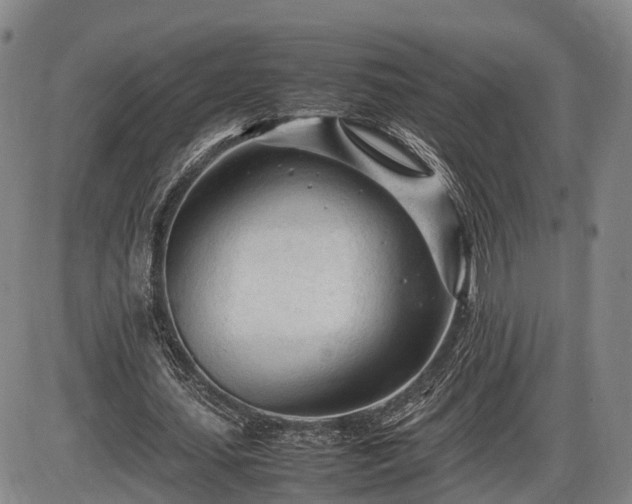 X0000086060627200703301041