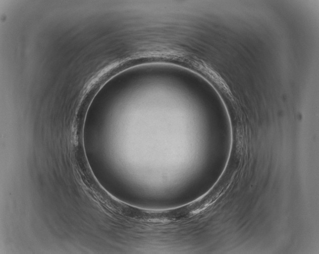 X0000086060628200703301041