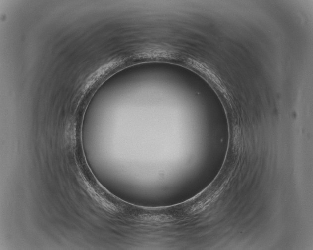 X0000086060629200703301041